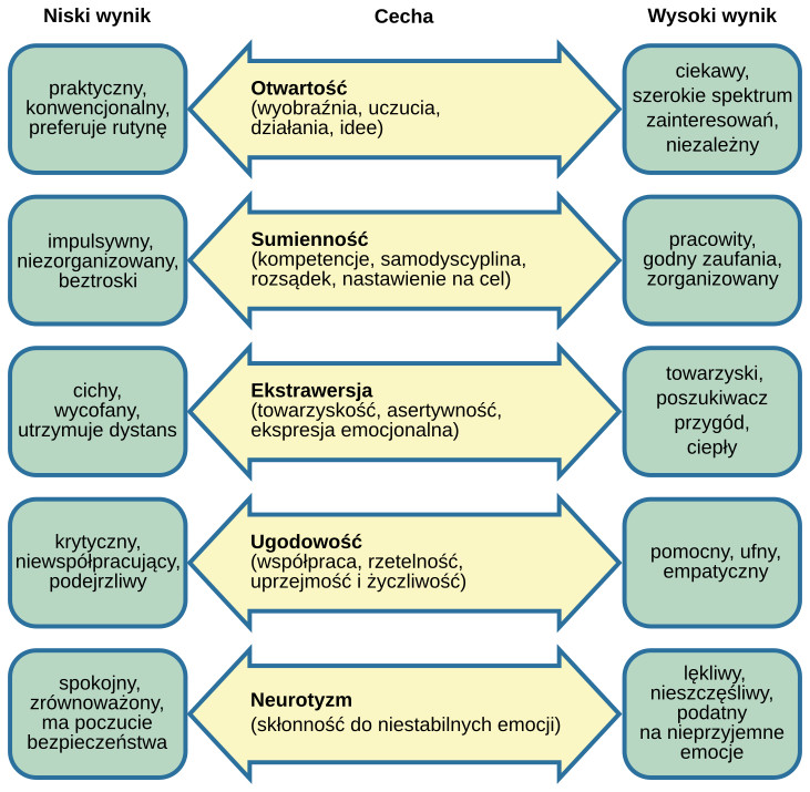 Diagram pięciu wymiarów osobowości w modelu Wielkiej Piątki.
